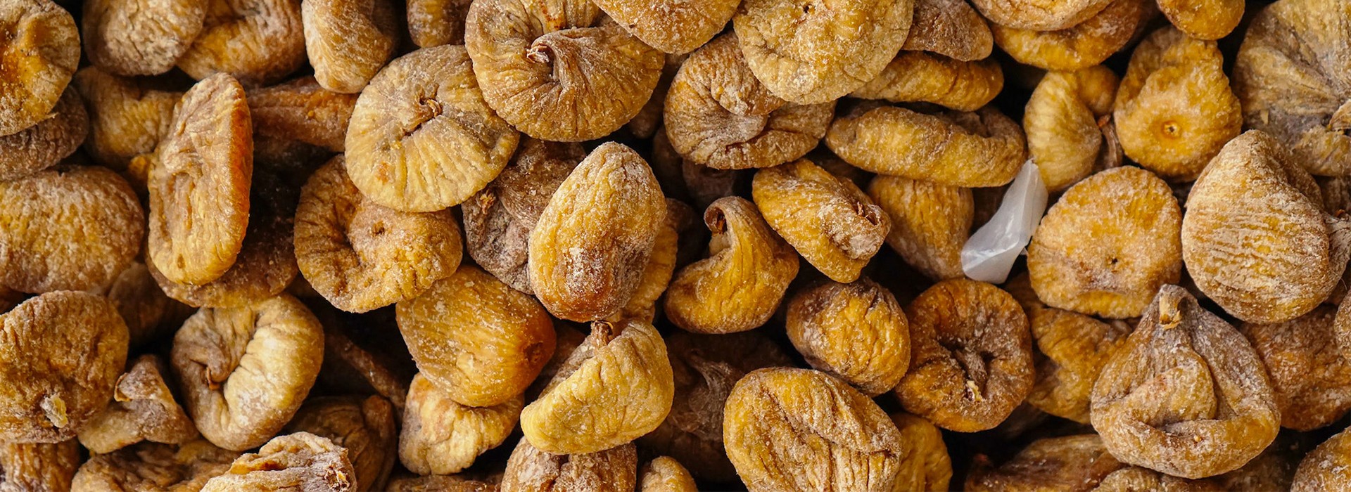 Fichi Secchi